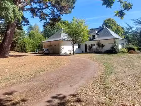 location maison à guérande (44350) : à louer / 250m² guérande