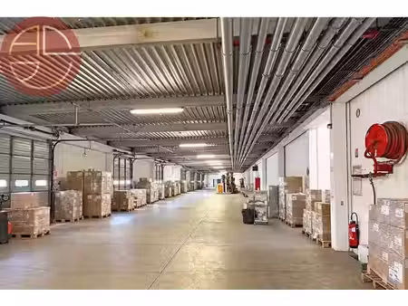 location locaux professionnels 1 pièce 6526 m² à grisolles (82170)  34 865 €