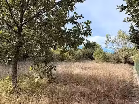 vente terrain 1267 m² à ars (16130)  32 000 €