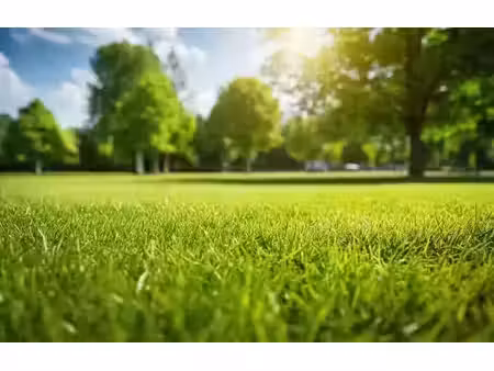 vente terrain 222 m² à neuville-saint-vaast (62580)  35 000 €