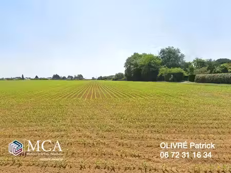 vente terrain 552 m² balanzac (17600)