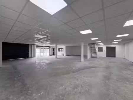 location locaux professionnels 5 pièces 506 m² à baie mahault (97122)  9 039 €