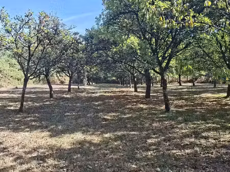 vente terrain 16 669 m²