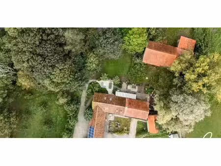 ferme à vendre à bavegem pour € 789.000 avec 5 chambres à coucher
