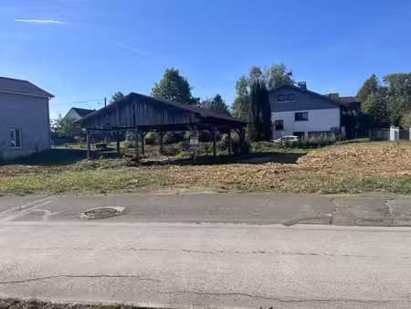 vezelois