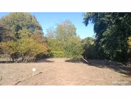 terrain environ 1000m2