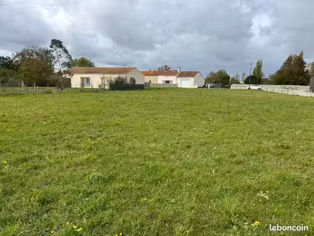 terrain constructible