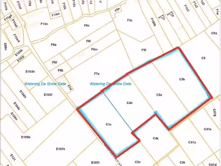 lot 1: parcelle de pâturage bien située