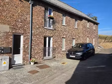 bel appartement lumineux 1 chambre