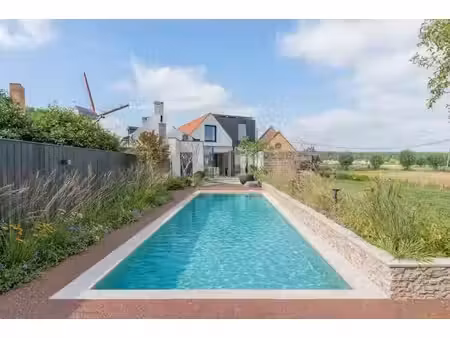 maison neuve avec piscine et vue sur le moulin à oostkerke