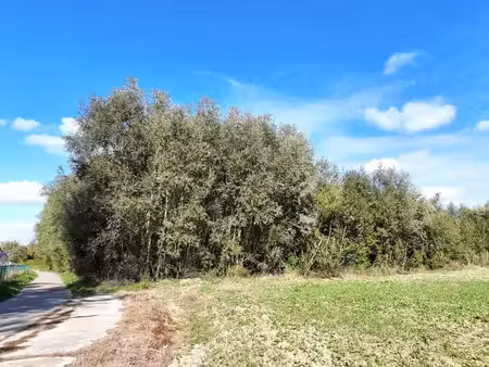 terrain agricole