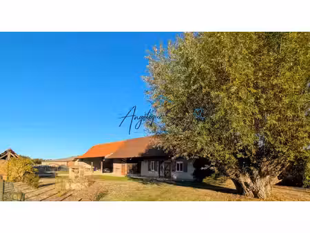 maison à vendre saint bonnet en bresse 6 pièce(s) 156m2 237 000€