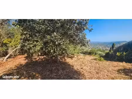 terrain 1 039 m² speracedes