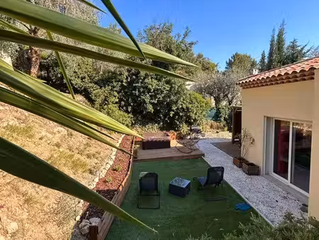 maison individuelle terrain oliviers