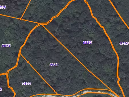 vends forêt/bois 3 hectares