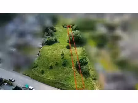 terrain
