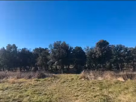 terrain de loisir 8100 m2