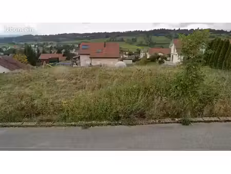 terrain constructible