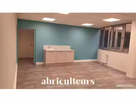 bureaux 45 m²