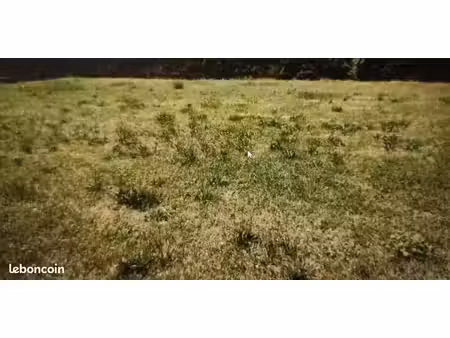 terrain 1 103 m² fouqueville