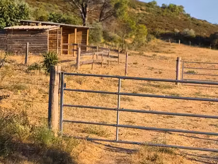 terrain pour chevaux