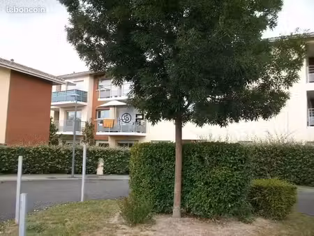 studio 1 pièce 28 m²