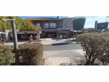 local commercial a louer