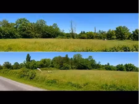 terrain à vendre