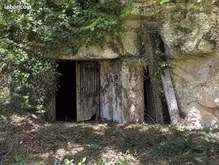 cave 1 pièce le petit pressigny