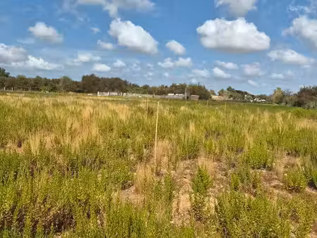terrain agricole a louer