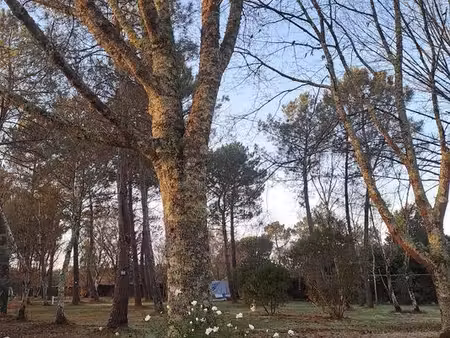 terrain 1 8 hectares en gironde