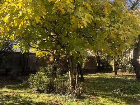 f3 60m2 parfait etat avec terrain et terrasse lumineux