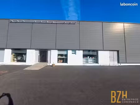 local 2200 m² languidic