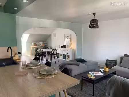 spacieux appartement rénové 3pp