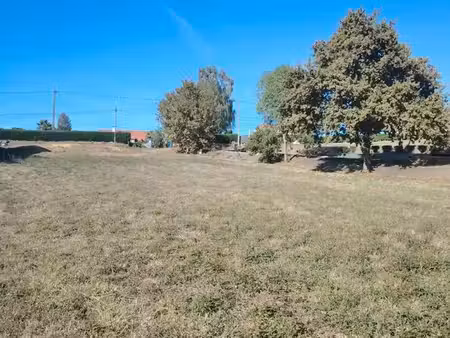 terrain à bâtir