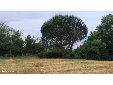 vente terrain 1350 m² à grainville-ymauville (76110)  85 000 €