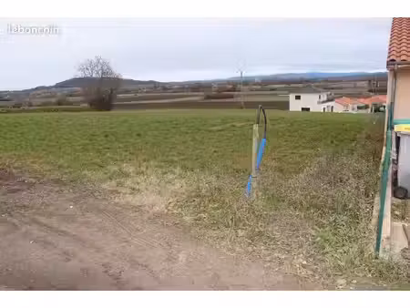 terrrain