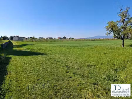 terrain de 471 m² à dachstein (bas-rhin)