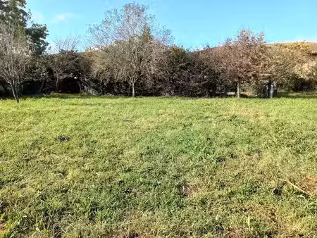 vente terrain 548 m² à saint-jory (31790)  132 050 €