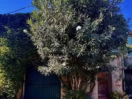vente maison de village 4 pièces