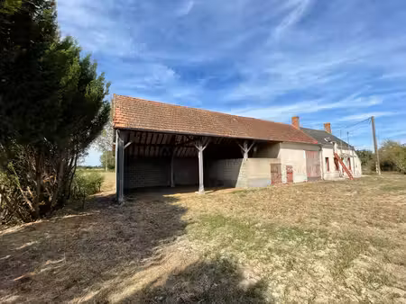 maison à vendre à saint-hilaire-en-lignières (18160) - cher