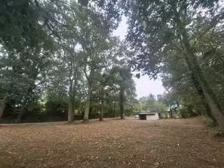 vente terrain à romazy (35490) : à vendre / 2026m² romazy