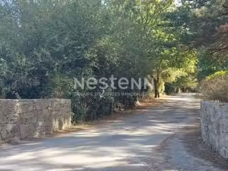 vente terrain à sarzeau (56370) : à vendre / 325m² sarzeau