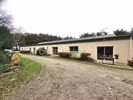 vente terrain 200000 m² à nozay (44170)  703 500 €