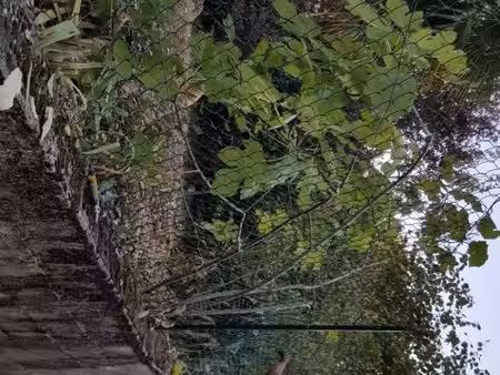 location maison avec jardin
