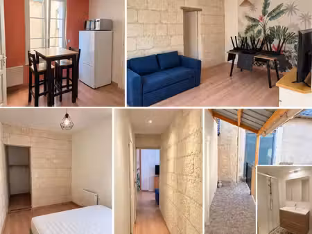 appartement meublé 50m2 entièrement rénové bourgueil