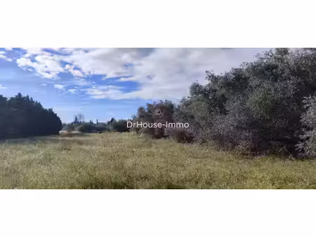 terrain agricole de 17 747 m² – oliviers – forage et casot – accès facile – pia (66380)