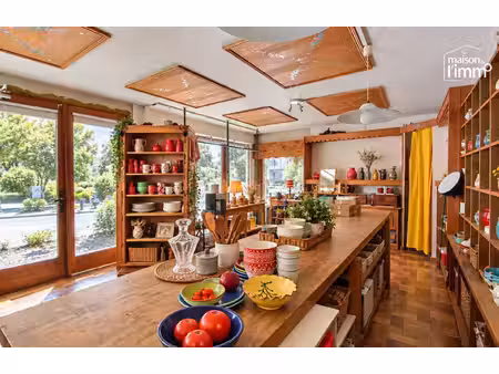 local commercial - a vendre - abondance