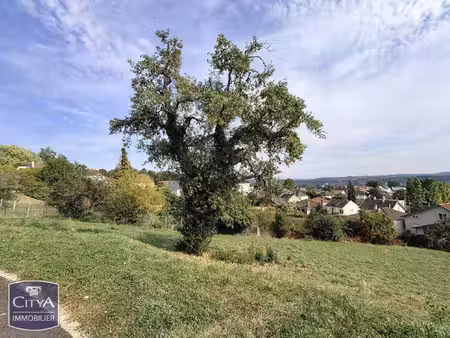 terrain