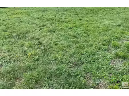 gorre - terrain viabilise 1100 m2